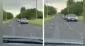 Conductores se detienen para que familia de patos cruce la carretera y siga con su camino