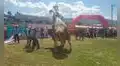 Cusco: toro de más de una tonelada intentó ‘cruzar’ a otro similar en Expo Huancaro