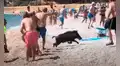 Presencia de un jabalí corriendo en una playa de Alicante causa terror en bañistas 