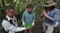 Luisito Comunica muestra con qué insectos se alimenta en la selva peruana y el sabor sorprende