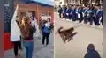 Colegio primario entrega una diploma a perro callejero por encargarse de ‘cuidar’ a los niños