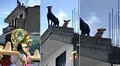 Perrito baila desde el techo de su casa mientras ve pasar una banda musical en vivo
