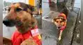 Gasolinera adopta a perrito callejero y lo ‘contrata’ para que trabaje con ellos