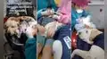 Perrito ‘asistente dental’ tranquiliza a los niños mientras el dentista los atiende