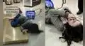 Joven se distrae en una tienda y termina sufriendo una graciosa caída al evitar dañar su celular
