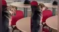 Perrito interrumpe una clase universitaria y se roba la atención de sus ‘compañeros’