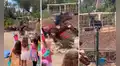 Caballo mira ‘inquieto’ cómo grupo de niños golpea una piñata con forma de potrillo