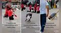 Travieso perrito interrumpe presentación de escolares y arruina show musical