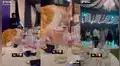 Gatito aprovecha para tomarse una bebida cuando todos bailaban en la fiesta de matrimonio