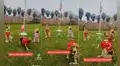 Fiestas Patrias: perrito iza la bandera del Perú en 28 de julio y escena se vuelve viral