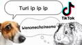 ¿Cómo nacieron los memes ‘Wenomechainsama’ y ‘Turi ip ip ip’ que son tendencia en TikTok?