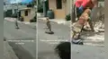 Perro se divierte con su dueño al subirse a scooter y deslizarse por la calle como un niño