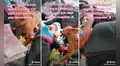 ‘Chiqui’, la perrita que ayuda a su dueño trabajando como cobradora dentro de taxi