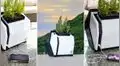 ¿Es posible cargar un teléfono con la energía de una planta o papa?