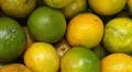 Se cayeron las ventas de naranja peruana al Reino Unido: no compraron una sola hasta junio