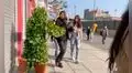 Arbusto viviente se apodera de las calles de Lima y asusta a todo aquel que pase por su lado