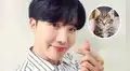 J-Hope de BTS y la historia del gato callejero que fue rescatado por el ídolo del k-pop