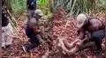 Hombre intenta atrapar a serpiente pitón y esta sorprende con su reacción