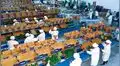 Educación y salud influyen en la baja productividad laboral