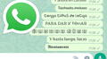 WhatsApp: truco permite enviar mensajes con otras tipografías y sin utilizar apps extrañas