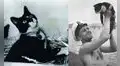 Sam, el insumergible: el gato que sobrevivió a tres hundimientos de buques en la Segunda Guerra Mundial
