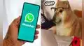 WhatsApp: ¿qué significa ‘gpi’ y por qué los jóvenes lo utilizan en sus conversaciones?