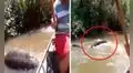Peruanos se encuentran con una anaconda que acababa de devorar a su presa en el Amazonas