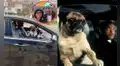 ‘Will Smith venezolano’ es captado con perro pug al mismo estilo de “Los hombres de negro”
