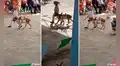 Niño no tenía caballo, pero su perro lo ayuda en su presentación por el Día de la Independencia