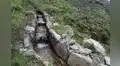 Documental “Guardianes y Guardianas del Agua” se estrena a nivel nacional