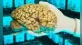 ¿Qué se descubrió al realizar estudios a los cerebros de asesinos famosos?