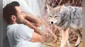 ¿De dónde proviene la frase “echarse un coyotito”, usada para referirse a tomar una siesta?