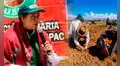 Patricia Ocampo: “Esperamos entregar esta semana la buena pro de la compra de urea”