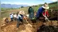 Padrón de Productores Agrarios superó los 800.000 agricultores inscritos
