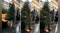 Pasajeros captan a hombre disfrazado de árbol viajando en metro de Nueva York