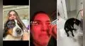 Joven rompe en llanto por el corte que le hicieron a su perrito: "Parece don Ramón"