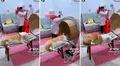 Niña juega a ser médica y le practica a su perro una resonancia en una máquina de cartón