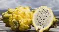 Pitahaya y fresas rumbo al top 10 de las agroexportaciones