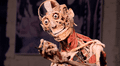 Así es Body Worlds, la exposición en la que podría terminar tu cadáver después de morir