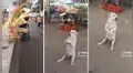 Perrito tiene singular forma de pedir comida en puesto de mercado: "Me parte el corazón"