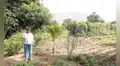 Agricultura orgánica: la opción de alimentos saludables que emplea a 110.000 productores