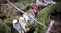 Aokigahara: ¿cuál es el origen del bosque donde miles de personas ponen fin a su vida?