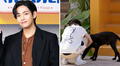 ¿Taehyung de BTS pagó atención a perro callejero en México?: parte de la historia sería falsa
