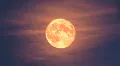 Eclipse lunar HOY, EN VIVO: a qué hora y cómo ver el eclipse de la luna de flores