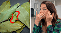 ¿Es mito o verdad que las hojas de laurel ayudan contra las arrugas?