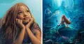 [ESTRENO] "La sirenita" en México: ¿cómo ver la película EN VIVO con Halle Bailey?