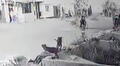 Madre denuncia que su hija de 7 años, atacada por dos perros, no recibió ayuda en Trujillo