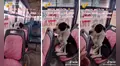 Perrito sube a bus y se hace el 'loco' cuando le quieren cobrar pasaje: "No se haga el dormido"