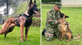 Caso Wilson: 70 uniformados y 2 perras en celo buscan al can perdido en la selva de Colombia
