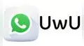 WhatsApp: ¿Qué significa "UwU" y por qué se ha vuelto tan popular en las conversaciones?